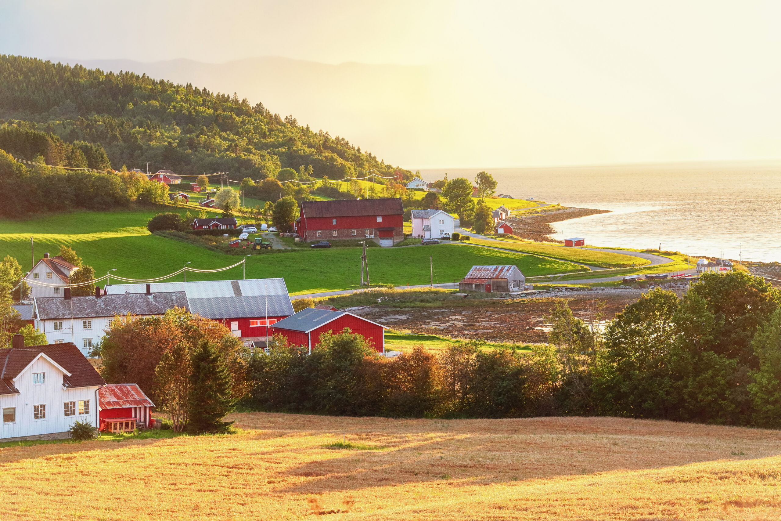 Landbruksforsikring - Varig Forsikring Nordmøre og Romsdal